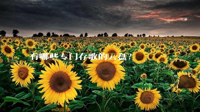 有哪些专门存歌的云盘？