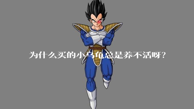 为什么买的小乌龟总是养不活呀？