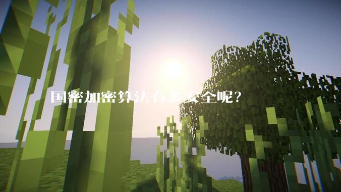 国密加密算法有多安全呢？